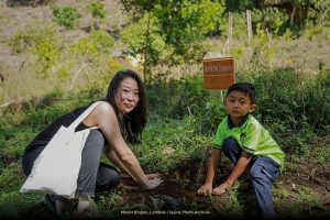 Tree Planting at Mount Rinjani, Lombok