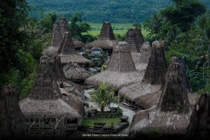 Sumba Island