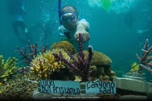 Coral Planting in Karimunjawa