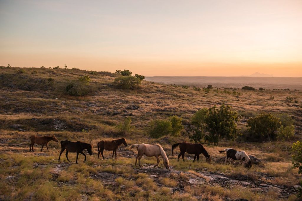 Sumba Island Landscape View