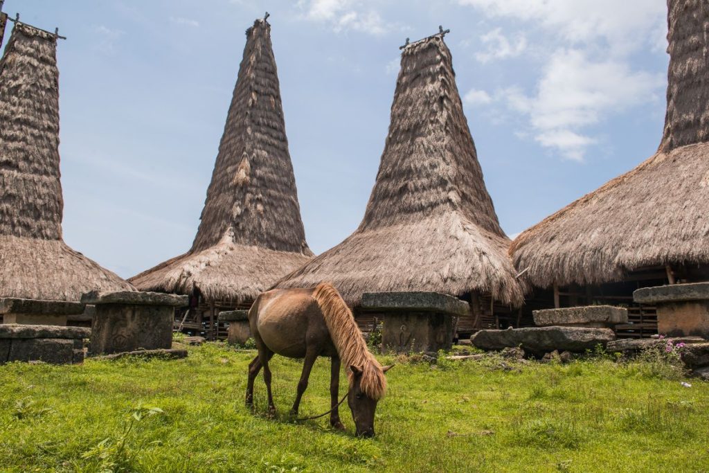 Traditional Village in Sumba Island