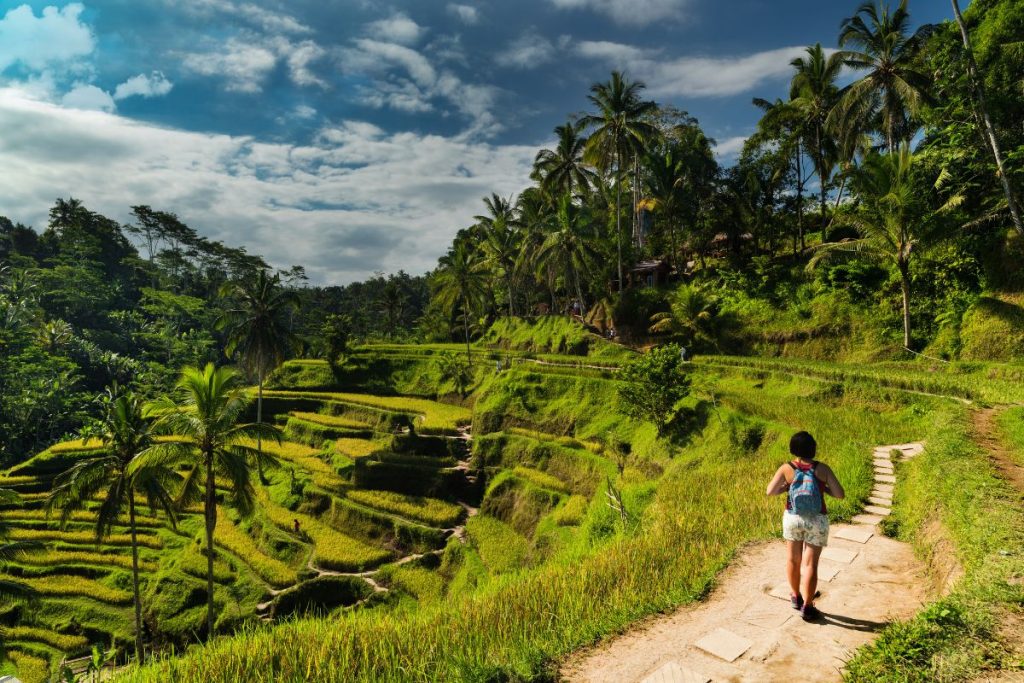 Walking Through Rice Field in Bali