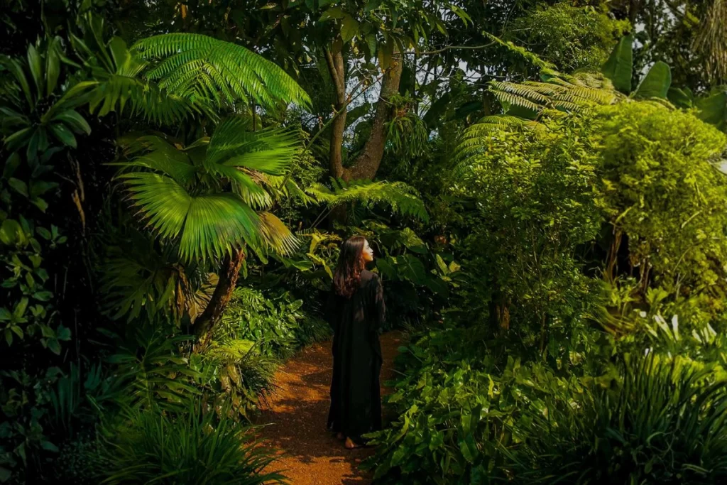 Literary Writers Retreat - Harmony Walk Activity