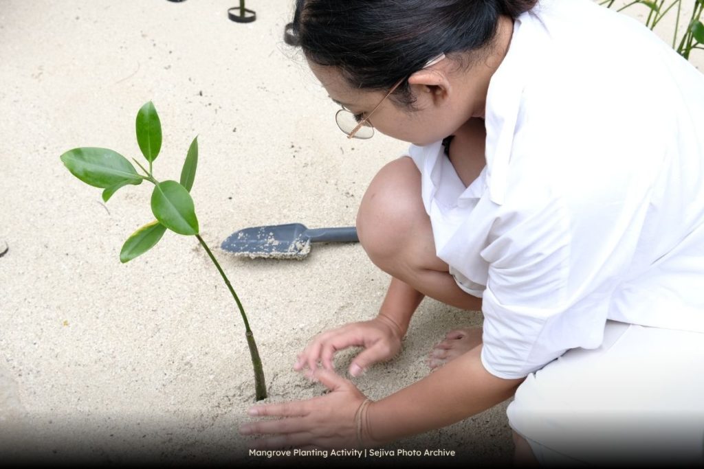 Mangrove Planting Activity - Sejiva "Healing in Harmony Trip"