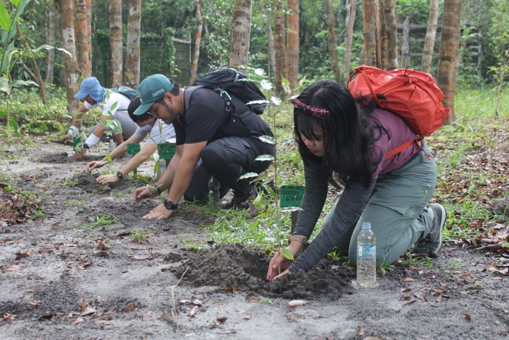 Tree Planting at Tanjung Puting National Park