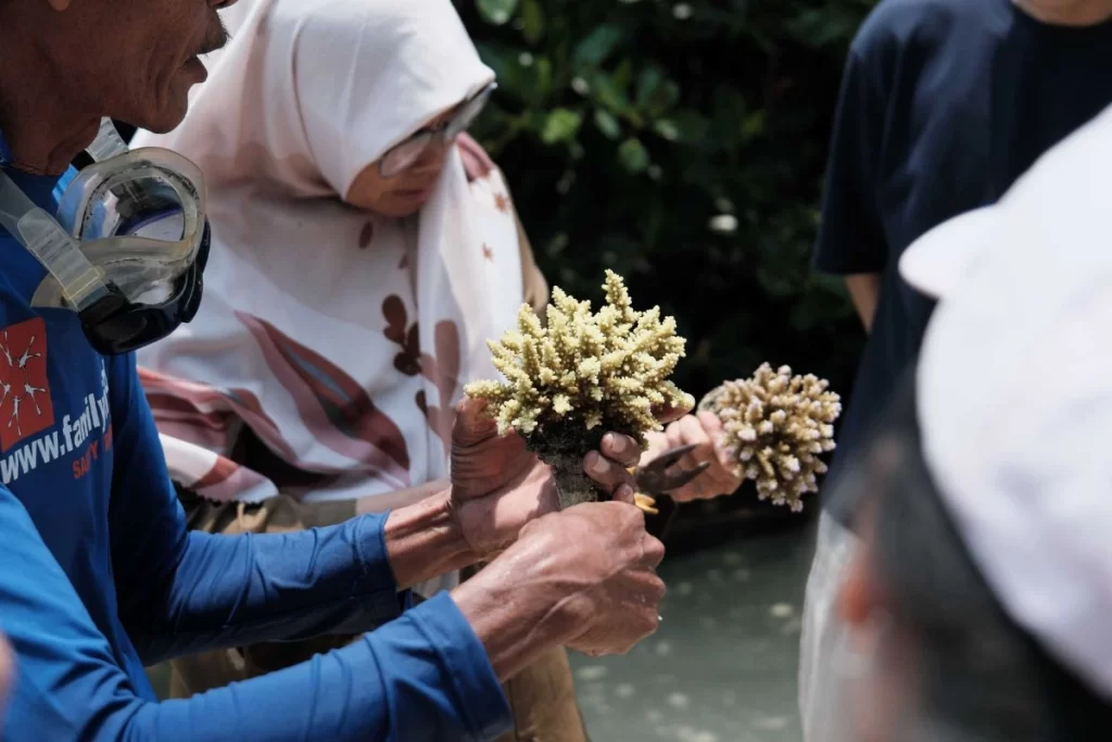 Coral Planting Activity during Save The Coral Trip in Pramuka Island, Kepulauan Seribu