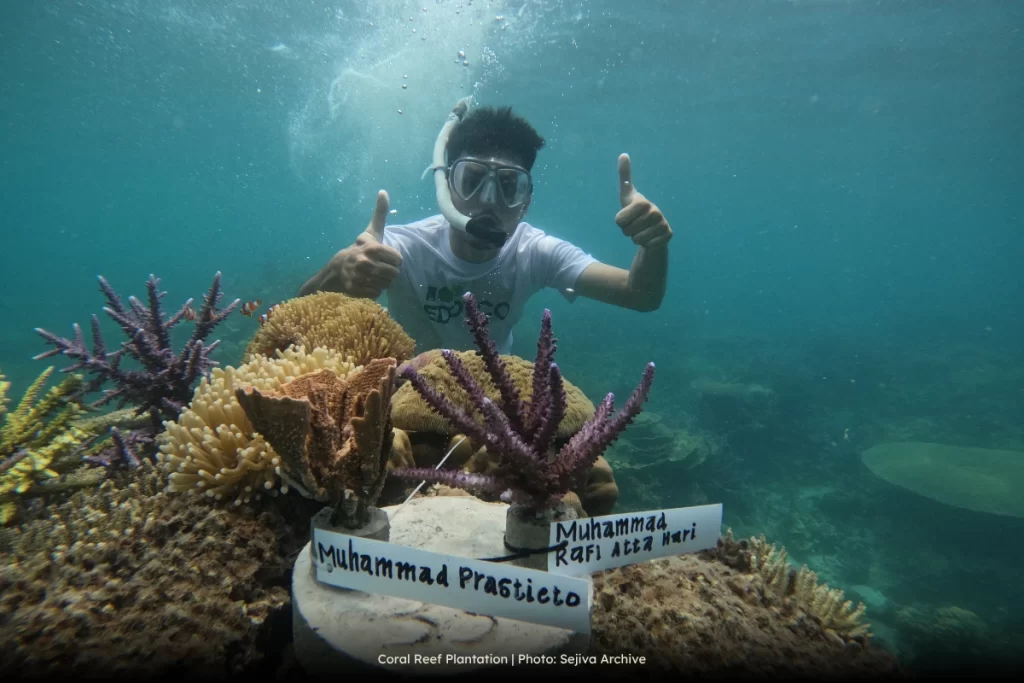 Coral Reef Plantation