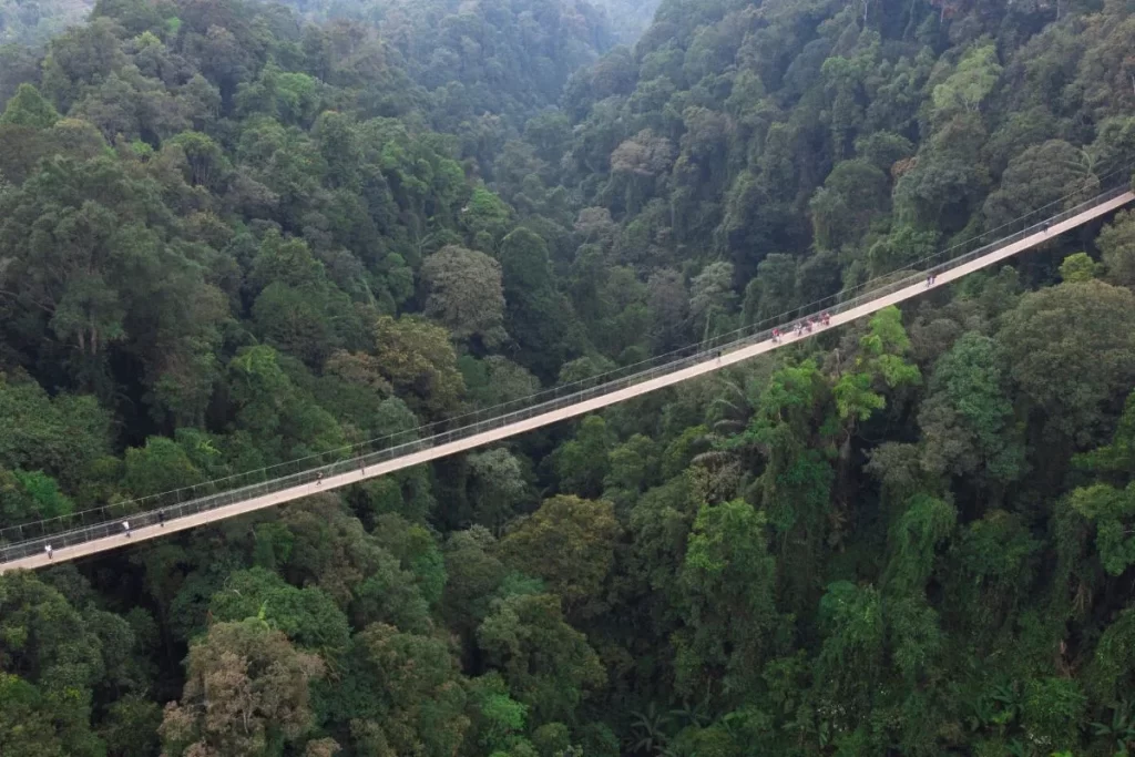 aerial view of situ gunung suspension bridge in sukabumi, indonesia