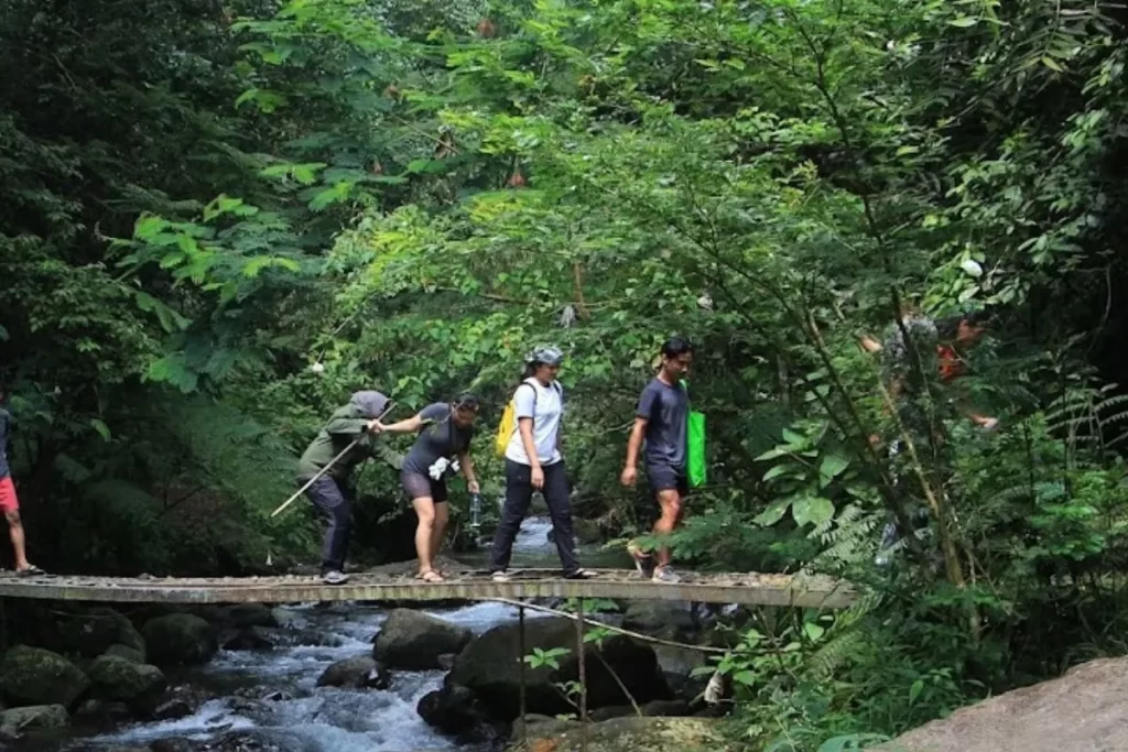 jungle trekking in sukabumi
