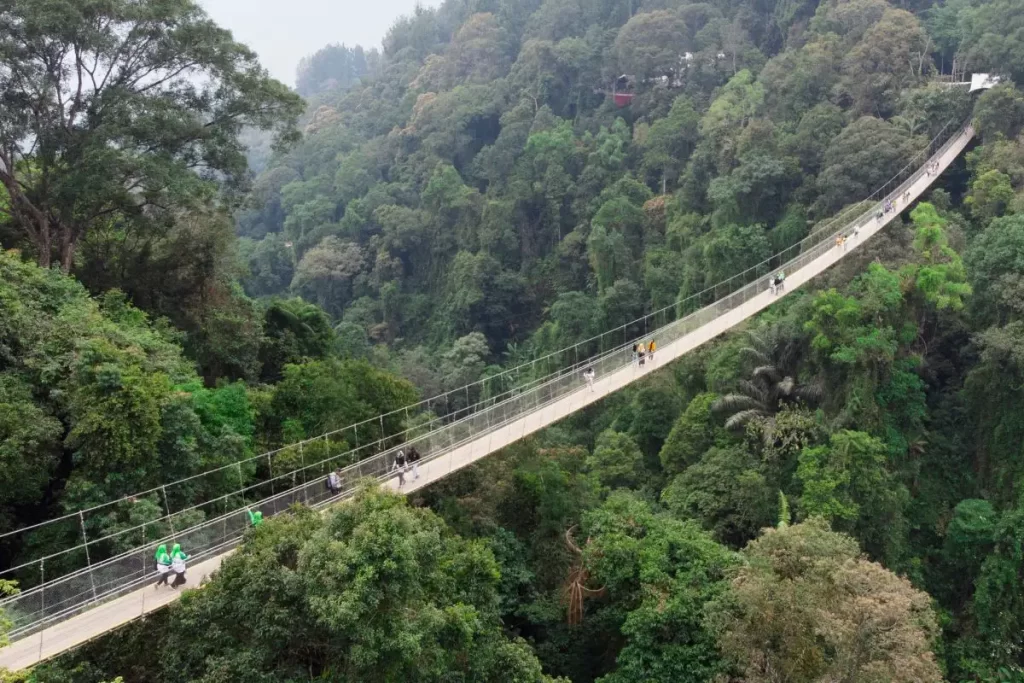 situ gunung suspension bridge indonesia