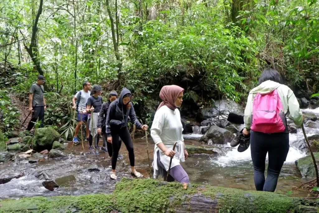 trekking through the jungle in sukabumi