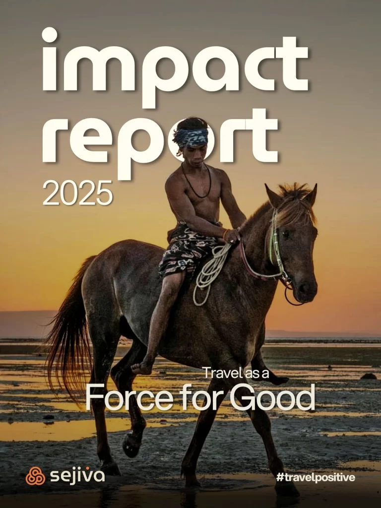 Sejiva Impact Report 2025
