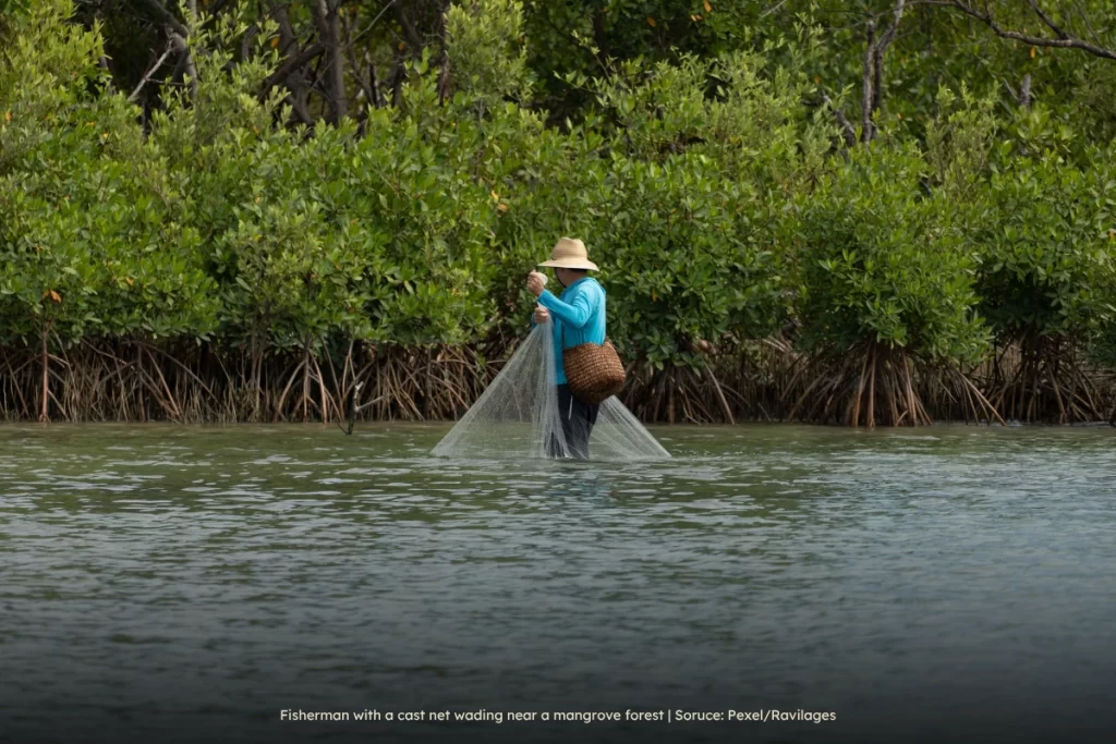 Fisherman near mangrove forest