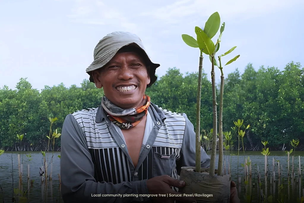Local community planting mangrove tree